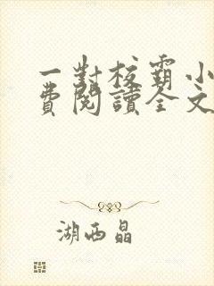 一对校霸小说免费阅读全文无弹窗