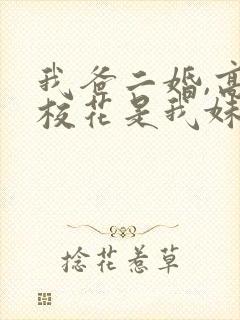 我爸二婚,高冷校花是我妹完结版