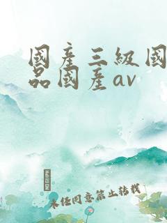 国产三级国产精品国产av