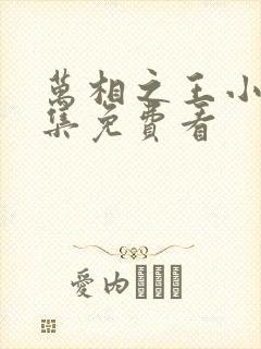 万相之王小说全集免费看