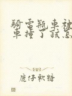 骑电瓶车被电瓶车撞了该怎么赔偿