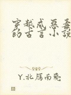 穿越成恶毒女配的古言小说