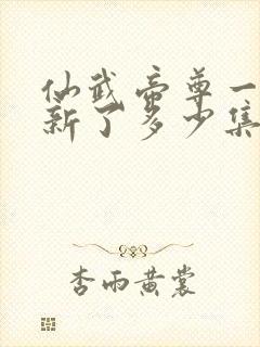 仙武帝尊一共更新了多少集