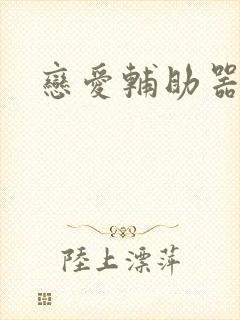 恋爱辅助器,