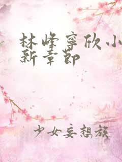 林峰宁欣小说最新章节