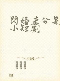 闪婚老公是豪门小短剧