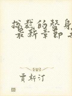 总裁的替身前妻 最新章节 无弹窗