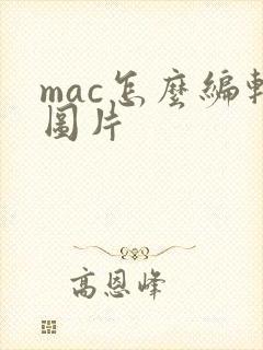 mac怎么编辑图片