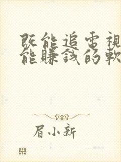 既能追电视剧又能赚钱的软件