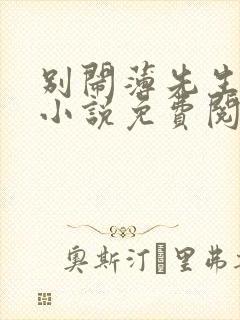 别闹薄先生正版小说免费阅读