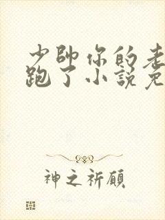 少帅你的老婆又跑了小说免费阅读