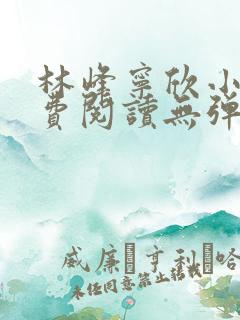 林峰宁欣小说免费阅读无弹窗