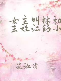 女主叫林初夏男主姓江的小说