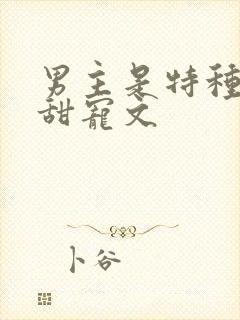 男主是特种兵的甜宠文