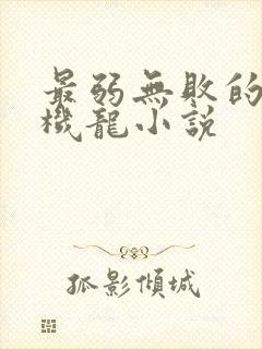 最弱无败的神装机龙小说