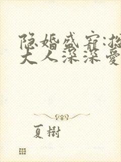 隐婚盛宠:总裁大人深深爱 金十羽