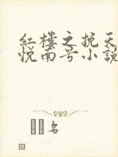 红楼之挽天倾林悦南兮小说