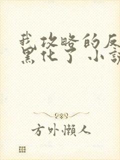 我攻略的反派都黑化了 小说