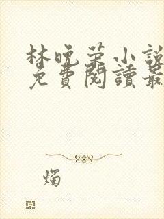 林晚荣小说全文免费阅读最新章节