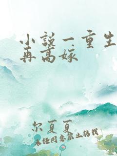 小说一重生七零再高嫁