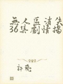 无人区消失的她36集剧情揭秘