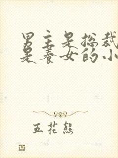 男主是总裁女主是养女的小说