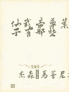 仙武帝尊叶辰孩子有哪些