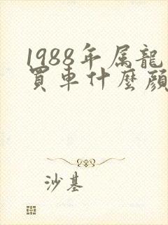 1988年属龙买车什么颜色好