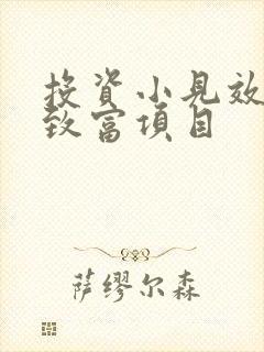 投资小见效快的致富项目