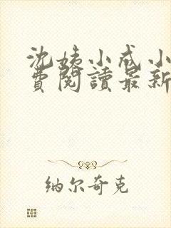 沈姨小成小说免费阅读最新章节更新