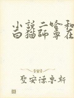小说二哈和他的白猫师尊在线看
