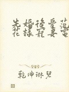 先婚后爱范总的花样宠妻电视剧