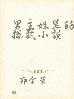 男主姓慕的所有总裁小说