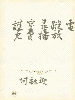 护宝寻踪电视剧免费播放