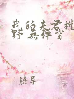 我的夫君权倾朝野 无弹窗