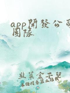 app开发公司团队