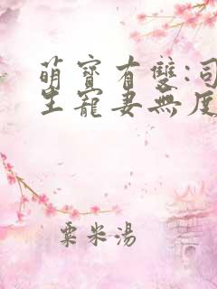 萌宝有双:司先生宠妻无度
