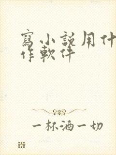 写小说用什么写作软件