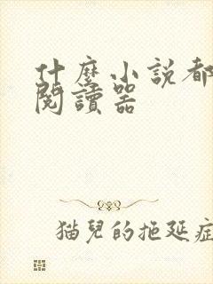 什么小说都有的阅读器