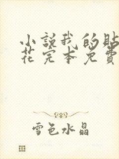 小说我的贴身校花完本免费阅读