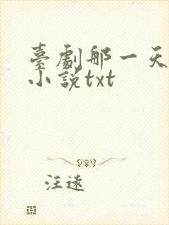 台剧那一天原著小说txt