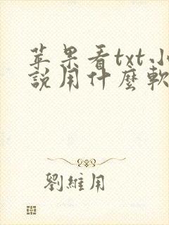 苹果看txt小说用什么软件