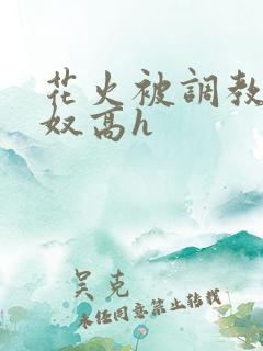 花火被调教成肉奴高h