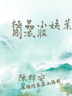 极品小姨叶凡无删减版