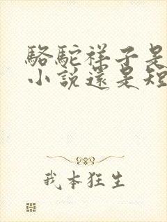 骆驼祥子是长篇小说还是短篇小说