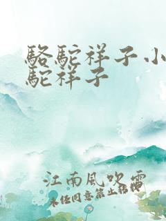 骆驼祥子小说骆驼祥子