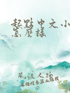 起点中文小说网怎么样