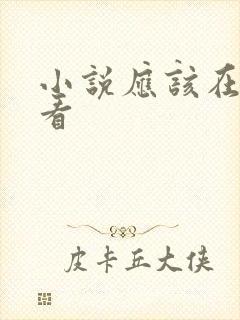 小说应该在哪里看