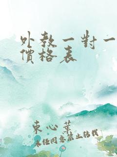 外教一对一辅导价格表