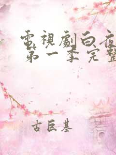 电视剧白夜追凶 第一季完整版免费观看全集